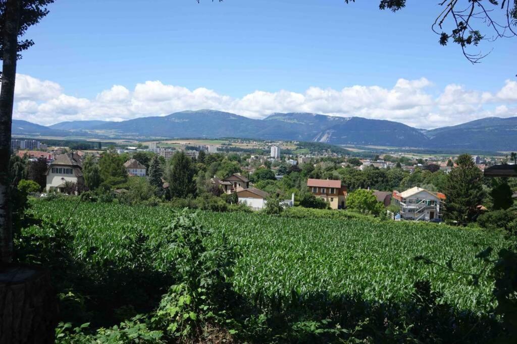 Appartement 1 pièce entresol 30 m2 proche du centre et bain thermal Yverdon-les-Bains Extérieur photo